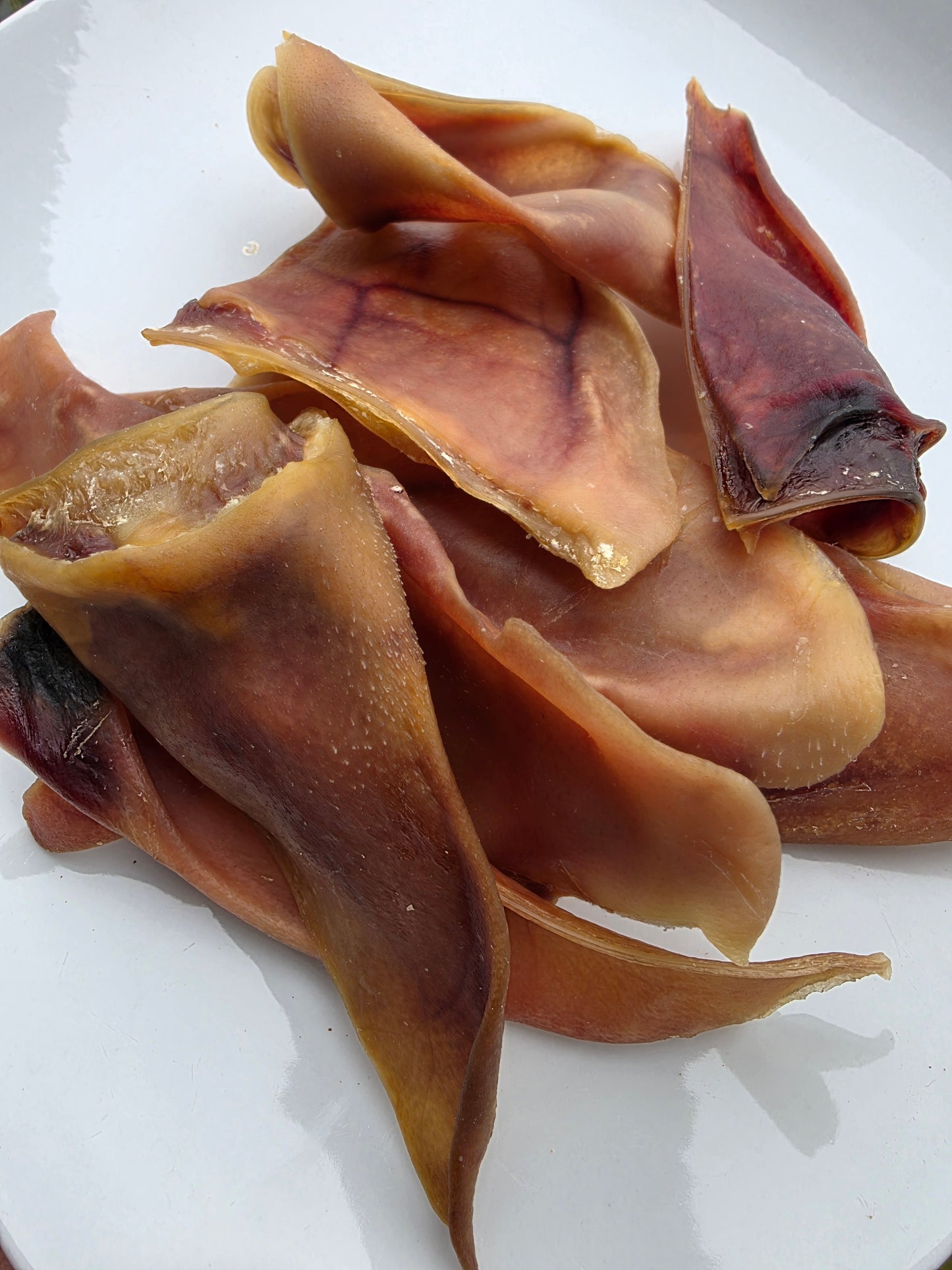 JOINT FORCES VARIETY PACK - 6 OZ